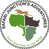 safari junctions